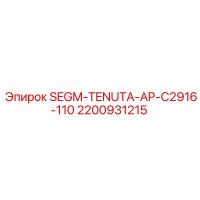 2200931215 SEGM-TENUTA-AP-C2916-110 Epiroc