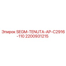 2200931215 SEGM-TENUTA-AP-C2916-110 Epiroc