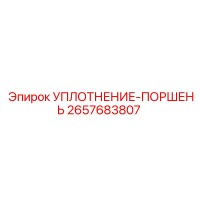 2657683807 УПЛОТНЕНИЕ-ПОРШЕНЬ Epiroc