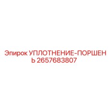 2657683807 УПЛОТНЕНИЕ-ПОРШЕНЬ Epiroc