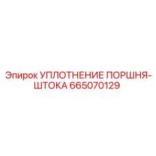 665070129 УПЛОТНЕНИЕ ПОРШНЯ-ШТОКА Epiroc