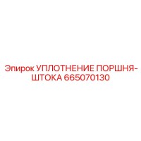 665070130 УПЛОТНЕНИЕ ПОРШНЯ-ШТОКА Epiroc