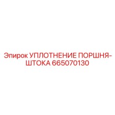 665070130 УПЛОТНЕНИЕ ПОРШНЯ-ШТОКА Epiroc