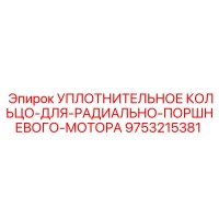 9753215381 УПЛОТНИТЕЛЬНОЕ КОЛЬЦО-ДЛЯ-РАДИАЛЬНО-ПОРШНЕВОГО-МОТОРА Epiroc