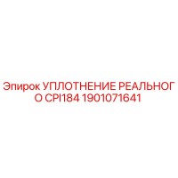 1901071641 УПЛОТНЕНИЕ РЕАЛЬНОГО CPI184 Epiroc