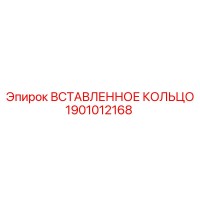 1901012168 ВСТАВЛЕННОЕ КОЛЬЦО Epiroc