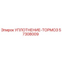 57308009 УПЛОТНЕНИЕ-ТОРМОЗ Epiroc
