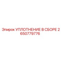 2650779776 УПЛОТНЕНИЕ В СБОРЕ Epiroc