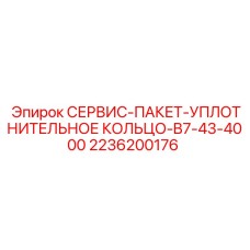 2236200176 СЕРВИС-ПАКЕТ-УПЛОТНИТЕЛЬНОЕ КОЛЬЦО-B7-43-4000 Epiroc