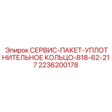 2236200178 СЕРВИС-ПАКЕТ-УПЛОТНИТЕЛЬНОЕ КОЛЬЦО-B18-62-217 Epiroc