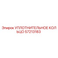 57213183 УПЛОТНИТЕЛЬНОЕ КОЛЬЦО Epiroc
