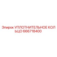 666718400 УПЛОТНИТЕЛЬНОЕ КОЛЬЦО Epiroc