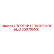 666718400 УПЛОТНИТЕЛЬНОЕ КОЛЬЦО Epiroc