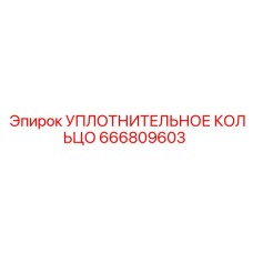 666809603 УПЛОТНИТЕЛЬНОЕ КОЛЬЦО Epiroc
