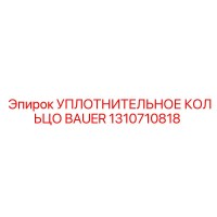 1310710818 УПЛОТНИТЕЛЬНОЕ КОЛЬЦО BAUER Epiroc