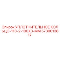 5730013817 УПЛОТНИТЕЛЬНОЕ КОЛЬЦО-113-2-100X3-MM Epiroc