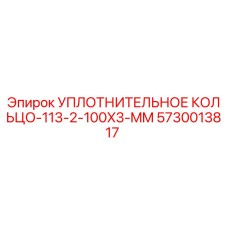 5730013817 УПЛОТНИТЕЛЬНОЕ КОЛЬЦО-113-2-100X3-MM Epiroc