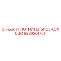 9236201751 УПЛОТНИТЕЛЬНОЕ КОЛЬЦО Epiroc