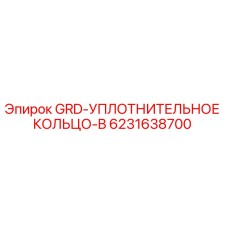 6231638700 GRD-УПЛОТНИТЕЛЬНОЕ КОЛЬЦО-B Epiroc