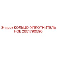 2651790590 КОЛЬЦО-УПЛОТНИТЕЛЬНОЕ Epiroc