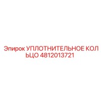 4812013721 УПЛОТНИТЕЛЬНОЕ КОЛЬЦО Epiroc