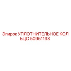 УПЛОТНИТЕЛЬНОЕ КОЛЬЦО 50951193 Epiroc