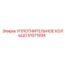 УПЛОТНИТЕЛЬНОЕ КОЛЬЦО 51071934 Epiroc