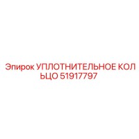 51917797 УПЛОТНИТЕЛЬНОЕ КОЛЬЦО Epiroc