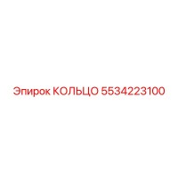 5534223100 КОЛЬЦО Epiroc