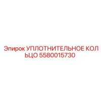 5580015730 УПЛОТНИТЕЛЬНОЕ КОЛЬЦО Epiroc
