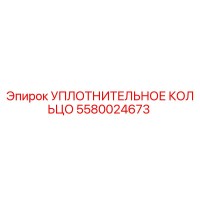 5580024673 УПЛОТНИТЕЛЬНОЕ КОЛЬЦО Эпирок