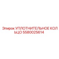 5580025614 УПЛОТНИТЕЛЬНОЕ КОЛЬЦО Эпирок