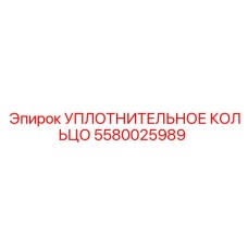 5580025989 УПЛОТНИТЕЛЬНОЕ КОЛЬЦО Эпирок