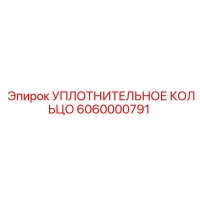 6060000791 УПЛОТНИТЕЛЬНОЕ КОЛЬЦО Epiroc