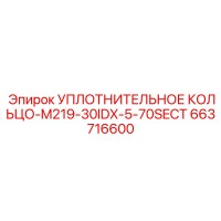 663716600 УПЛОТНИТЕЛЬНОЕ КОЛЬЦО-M219-30IDX-5-70SECT Epiroc