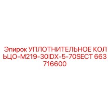 663716600 УПЛОТНИТЕЛЬНОЕ КОЛЬЦО-M219-30IDX-5-70SECT Epiroc