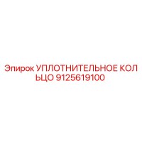 9125619100 УПЛОТНИТЕЛЬНОЕ КОЛЬЦО Epiroc