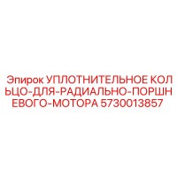 5730013857 УПЛОТНИТЕЛЬНОЕ КОЛЬЦО-ДЛЯ-РАДИАЛЬНО-ПОРШНЕВОГО-МОТОРА Epiroc