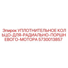5730013857 УПЛОТНИТЕЛЬНОЕ КОЛЬЦО-ДЛЯ-РАДИАЛЬНО-ПОРШНЕВОГО-МОТОРА Epiroc
