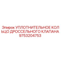 9753204753 УПЛОТНИТЕЛЬНОЕ КОЛЬЦО ДРОССЕЛЬНОГО КЛАПАНА Epiroc