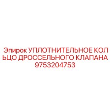 9753204753 УПЛОТНИТЕЛЬНОЕ КОЛЬЦО ДРОССЕЛЬНОГО КЛАПАНА Epiroc