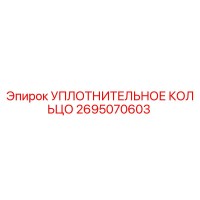 2695070603 УПЛОТНИТЕЛЬНОЕ КОЛЬЦО Эпирок