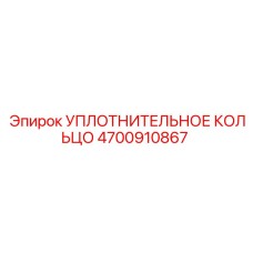 4700910867 УПЛОТНИТЕЛЬНОЕ КОЛЬЦО Эпирок