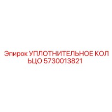 5730013821 УПЛОТНИТЕЛЬНОЕ КОЛЬЦО Epiroc
