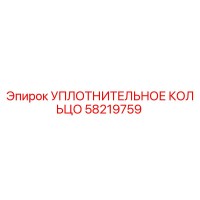 58219759 УПЛОТНИТЕЛЬНОЕ КОЛЬЦО Epiroc