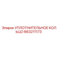 663211173 УПЛОТНИТЕЛЬНОЕ КОЛЬЦО Epiroc