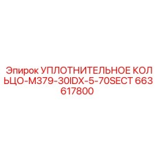 663617800 УПЛОТНИТЕЛЬНОЕ КОЛЬЦО-M379-30IDX-5-70SECT Epiroc