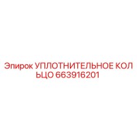 663916201 УПЛОТНИТЕЛЬНОЕ КОЛЬЦО Epiroc