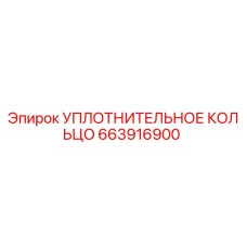 663916900 УПЛОТНИТЕЛЬНОЕ КОЛЬЦО Epiroc