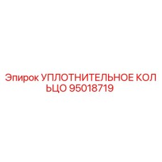 95018719 УПЛОТНИТЕЛЬНОЕ КОЛЬЦО Epiroc